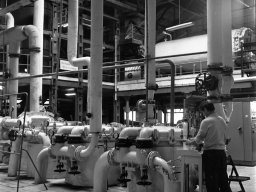 Cukrownia "Zbiersk" kampania 1971_5